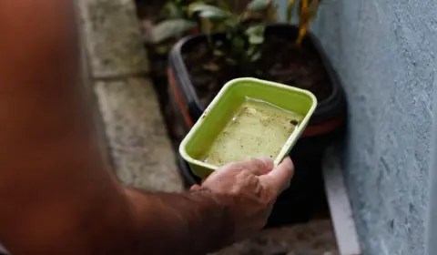 Saneamento, mudanças climáticas e suas relações com a dengue