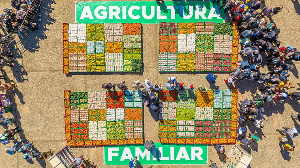 Governo anuncia recursos para compra de alimentos da agricultura familiar