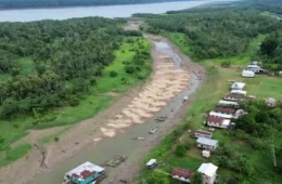 Rio Negro registra nível mais baixo em 121 anos, com 13,59 metros em Manaus