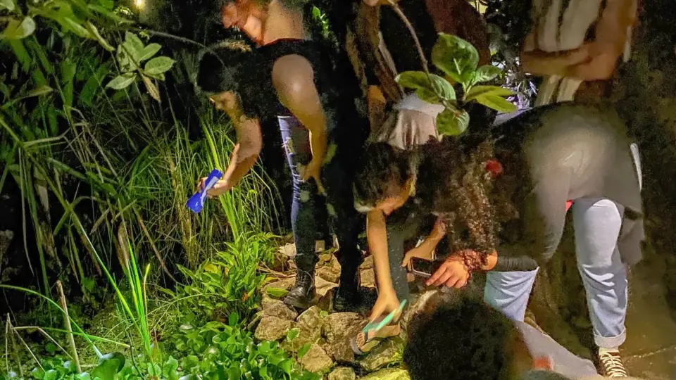 Naturalistas amadores contribuem com descobertas científicas importantes