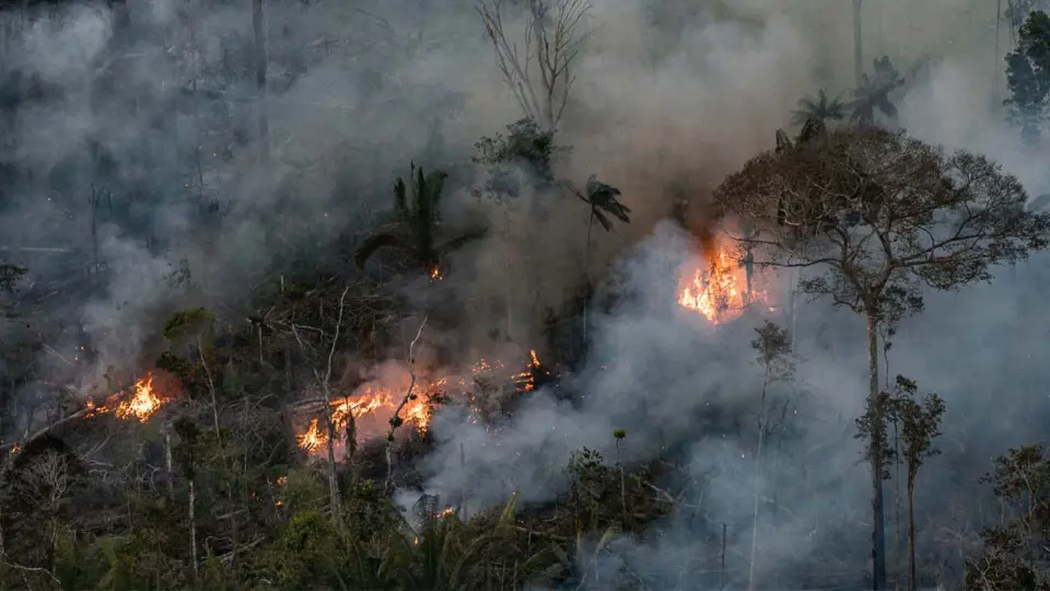 Defensoria do Amazonas pede a PGR intervenção federal por queimadas