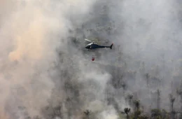 Seca não dá trégua e todas as cidades do AM permanecem em estado de emergência
