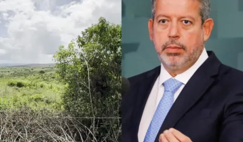 Família de Arthur Lira destruiu mata sagrada dos Kariri-Xocó em Alagoas