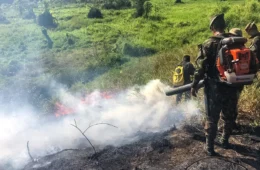 Com El Niño, Brasil registra mais de 17,3 milhões de hectares queimados em 2023