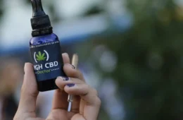 STJ garante cultivo caseiro de cannabis com fins medicinais sem punição