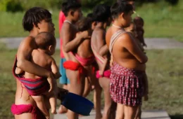 União tem 30 dias para apresentar plano contra garimpo na Terra Yanomami