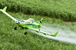 Brasil usa mais agrotóxicos que Estados Unidos e China juntos