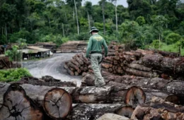 Projeto que flexibiliza licenciamento ambiental pode incluir mineração
