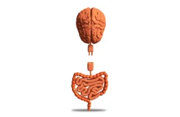 O elo intrincado entre estresse, depressão e saúde intestinal