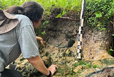 Trabalho de pesquisa em sítios arqueológicos no Marajó. (Foto: Chayenne Furtado/Divulgação)