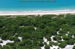 Justiça pode leiloar território Pataxó na Bahia para bancar multas de empresário