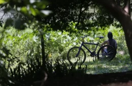 Previsão do tempo: saiba como fica o clima durante o outono