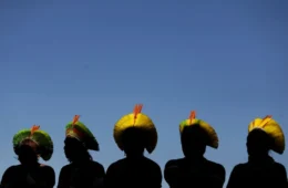 Terras Indígenas da Amazônia registram menor desmatamento em seis anos