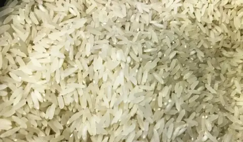 Governo autoriza compra de 1 milhão de toneladas de arroz