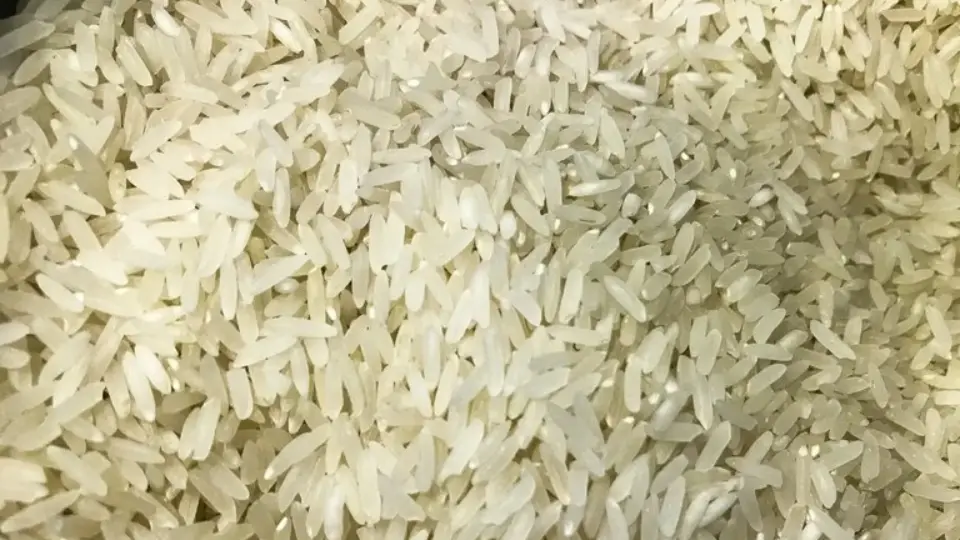 Governo autoriza compra de 1 milhão de toneladas de arroz