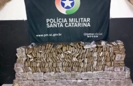 PM de SC apreende 47 kg de haxixe em empresa da família do senador Jorge Seif (PL)