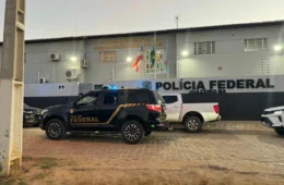 PF faz operação contra policiais e CACs por venda ilegal de armas no Nordeste