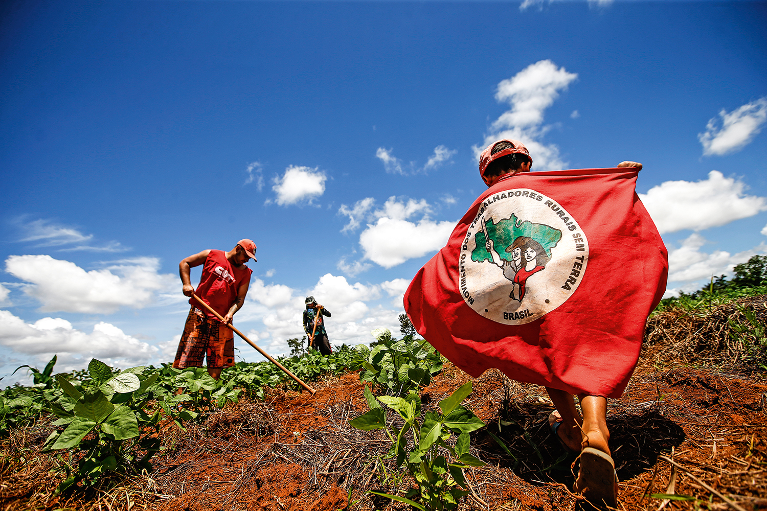 Maior produtor de arroz orgânico do Brasil, MST sofre perseguição de bancada ruralista na Câmara