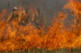 Incêndios em 30 áreas do Pantanal foram provocados por ação humana
