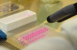 Vírus Zika pode voltar a se replicar após recuperação, aponta estudo da UFRJ