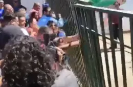 Aliados do prefeito de Natal invadem instituto de meio ambiente para pressionar por obra