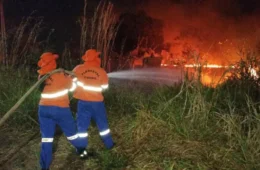 Rondônia cancela desfile de 7 de Setembro por causa de queimadas