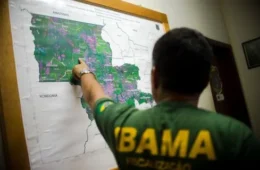 Ministério da Gestão autoriza concursos com 810 vagas para Ibama e ICMBio