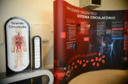 Entenda o que é a arritmia cardíaca e quais fatores podem alterar batidas do coração