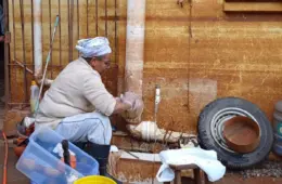 Terreiros afetados por chuvas buscam se reerguer em meio ao racismo religioso