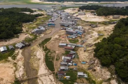Amazonas tem seca antecipada e recorde de queimadas em agosto