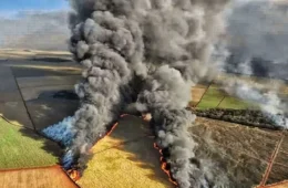 PF abre 31 inquéritos sobre incêndios criminosos em SP, Pantanal e Amazônia
