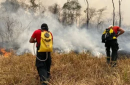 Rondônia declara situação de emergência devido a incêndios florestais