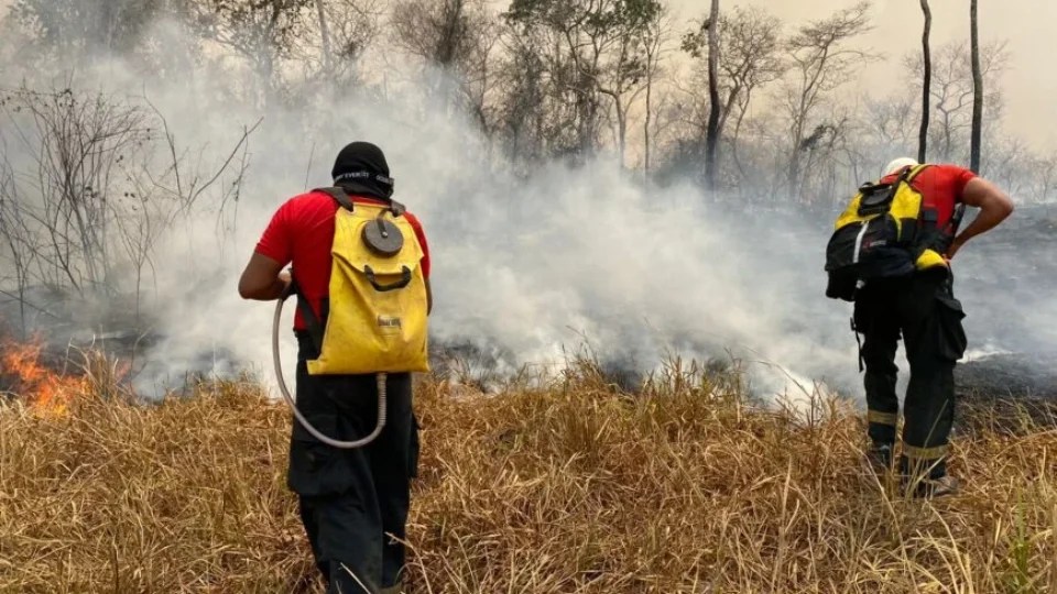 Rondônia declara situação de emergência devido a incêndios florestais