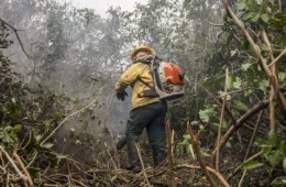 Dino determina mobilização para combater incêndios no Pantanal e na Amazônia