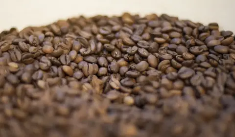 Ministério da Agricultura manda recolher 16 marcas de cafés impróprios para o consumo