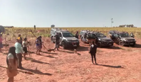 Justiça suspende reintegrações de posse na Terra Indígena Guasu Guavirá (PR)