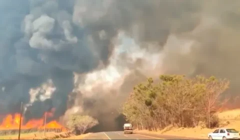 ‘Se o estado pedir ajuda, vamos trabalhar juntos’, diz Marina Silva sobre incêndios em SP
