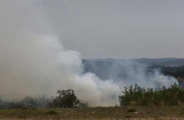 Governo vê indícios de crime e pede que PF investigue incêndios em SP