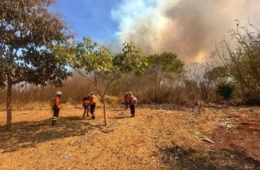 Ibama relata dificuldade para obter apoio de outros países no combate a incêndios