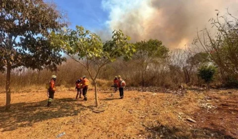 Ibama relata dificuldade para obter apoio de outros países no combate a incêndios