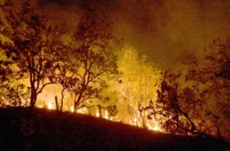 Queimadas persistem na Amazônia; cidades do PA superam mil focos
