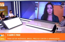 A pesquisadora Sabrina Fernandes analisa a tragédia ambiental brasileira