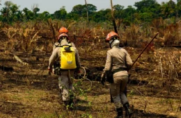 Fazenda palco de “dia do fogo” em 2022 é hoje a que tem mais queimadas no Brasil