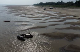 Seca dos rios no Amazonas pode afetar voto de mais de 120 mil eleitores