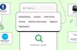 Mudanças no WhatsApp: canais passarão a ser organizados por categorias