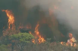 Fogo em Brasília cruza rio, quadruplica e abre novas frentes de queimadas