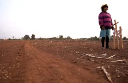 Organizações repudiam violência contra os Guarani-Kaiowá