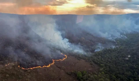 Incêndio destrói cerca de 10 mil hectares na Chapada dos Veadeiros