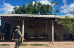 Demora da Justiça em caso de grilagem ameaça famílias no Cerrado do Piauí