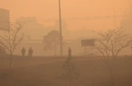 Especialista do Inca alerta para risco de fumaça das queimadas à saúde
